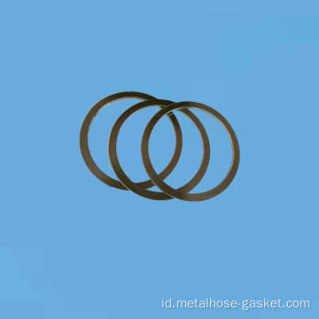 ASME B16 20 Flange Gasket Spiral Dasar